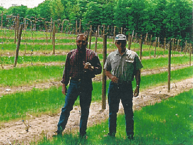 Bill and Joe standing amidst their first planted vines.