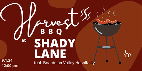 Maroon And Brick Modern Barbeque Party Banner Landscape