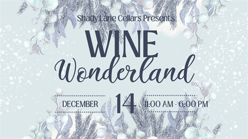 Blue And White Watercolor Winter Party Poster (Zoom Virtual Background)