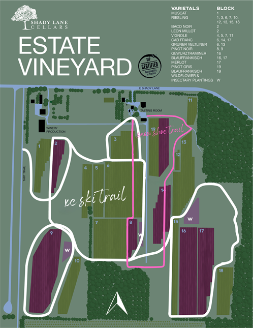 Updated Snow Shoe + XC Trail Map