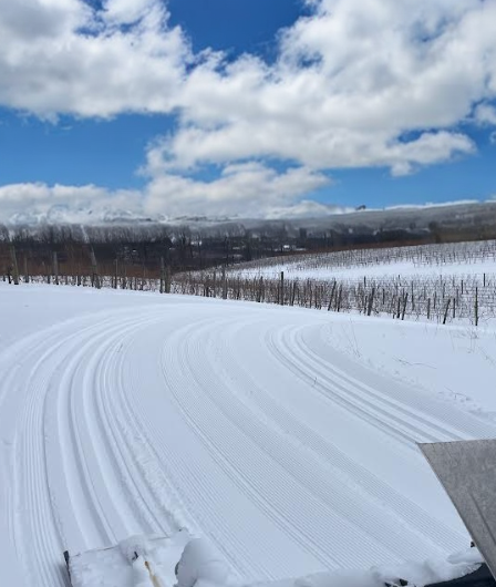 Ski Trail