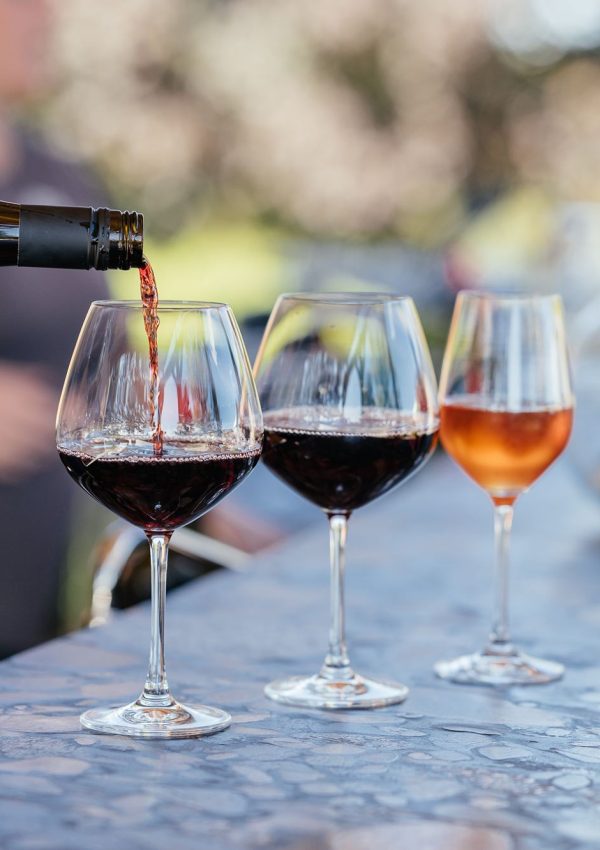 Shady Lane Tasting Beyrl Striewski – Copy Shady Lane Tasting Beyrl Striewski - Copy